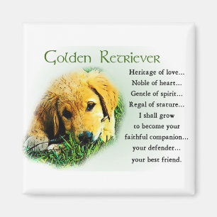 Imán Regalos de Golden Retriever