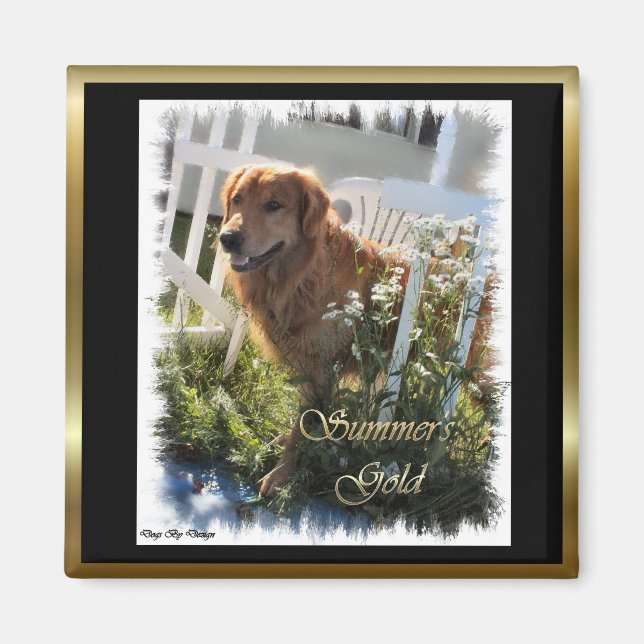 Imán Regalos de Golden Retriever (Frente)