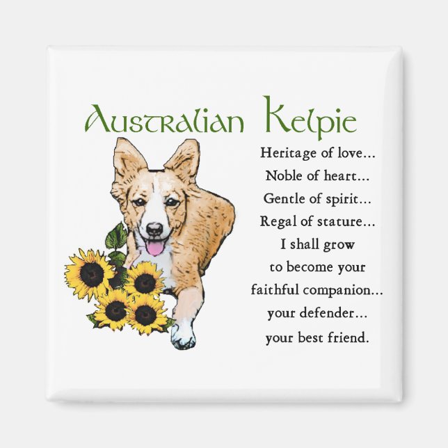 Imán Regalos de Kelpie australiano (Frente)