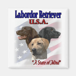 Imán Regalos de Labrador Recuperador