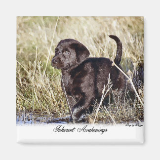 Imán Regalos de Labrador Recuperador