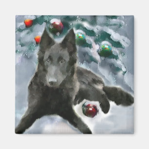 Imán Regalos de Navidades de Sheepdog de Bélgica