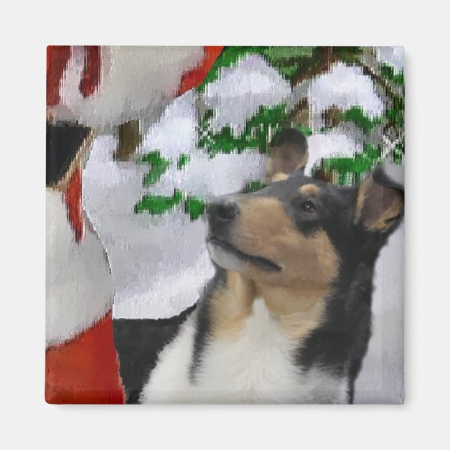 Imán Regalos de Navidades de Smooth Collie (Frente)