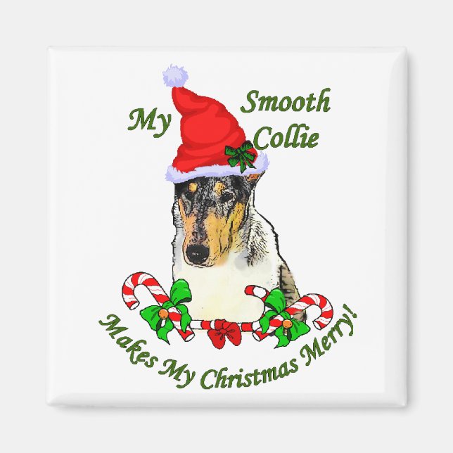 Imán Regalos de Navidades de Smooth Collie (Frente)