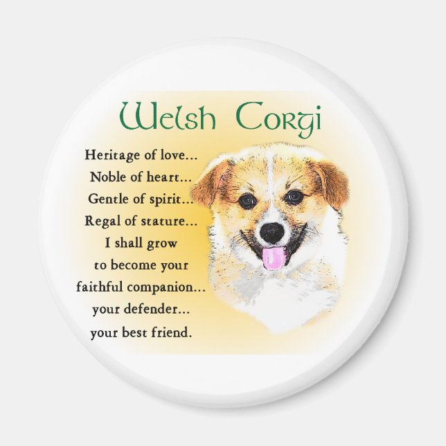 Imán Regalos de Pembroke Welsh Corgi (Frente)