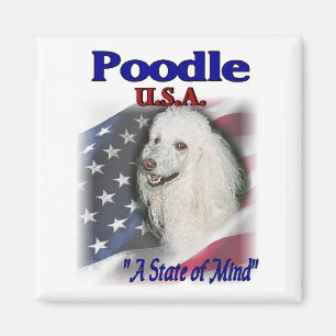 Imán Regalos de Poodle Lovers