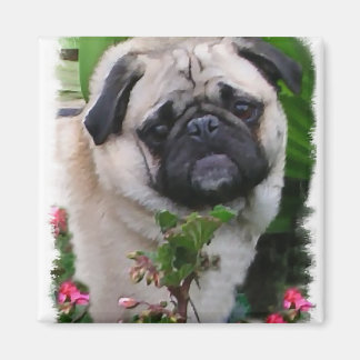 Imán Regalos de Pug Lovers