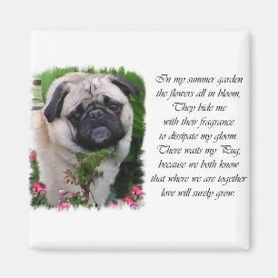 Imán Regalos de Pug Lovers