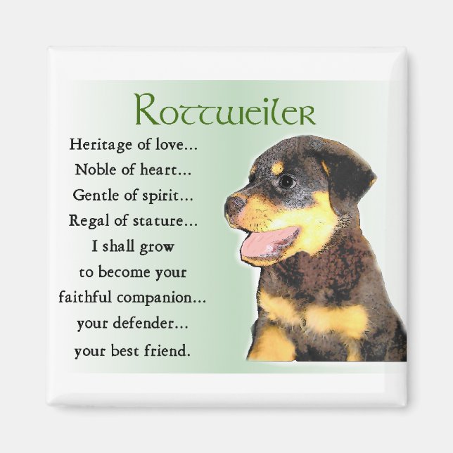 Imán Regalos de Rottweiler Lovers (Frente)