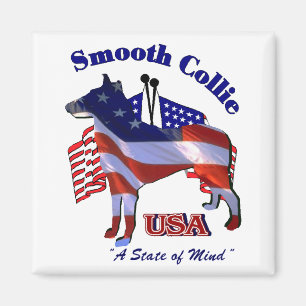 Imán Regalos de Smooth Collie