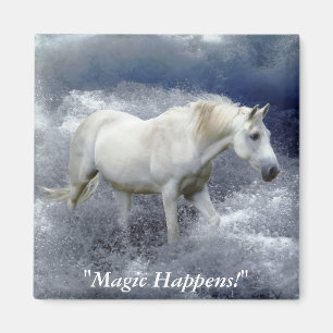 Imán Regalos del caballo blanco de la fantasía y de la
