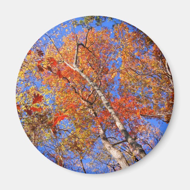 Imán Regalos del parque nacional West Mt Otoño Hot Spri (Frente)