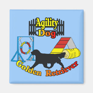 Imán Regalos del perro de la agilidad del golden