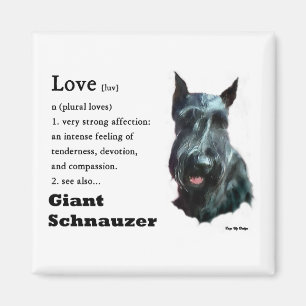 Imán Regalos del Schnauzer gigante