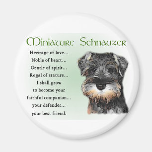 Imán Regalos del Schnauzer miniatura