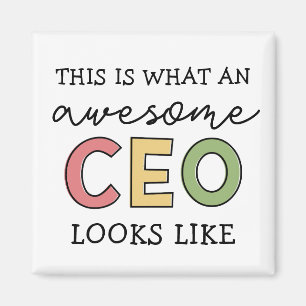 Imán Regalos divertidos para el CEO Impresionante Dir