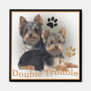 Imán Regalos dobles del problema de Yorkshire Terrier