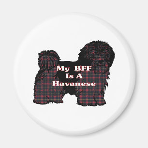 Imán Regalos HAVANESE BFF