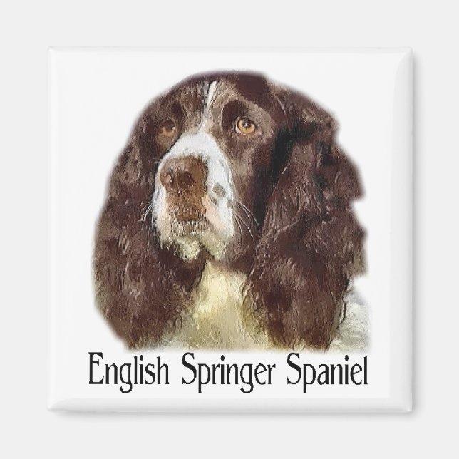 Imán Regalos para English Springer Spaniel (Frente)