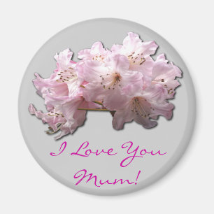 IMÁN ¡REGALOS PARA MADRES EN TODAS PARTES!
