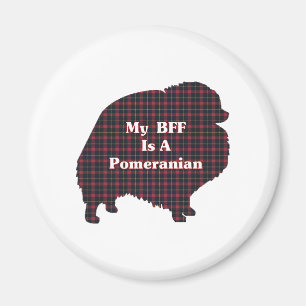 Imán Regalos Pomerania BFF