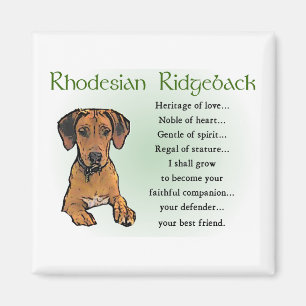 Imán Regalos Ridgeback Rhodsi