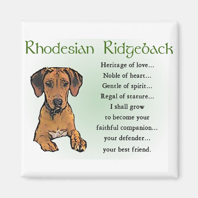 Imán Regalos Ridgeback Rhodsi (Frente)