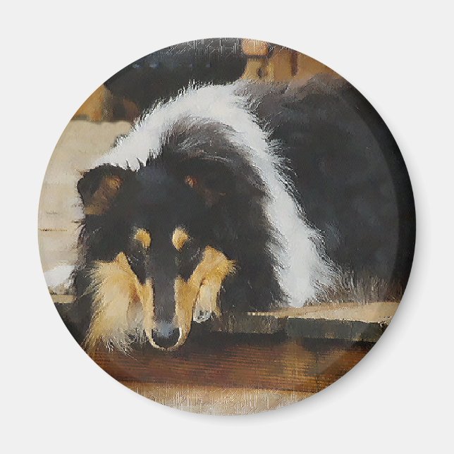 Imán Regalos Tri-Color Rough Collie (Frente)