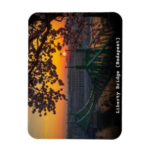 Imán regalos vintage puente liberty budapest hungria