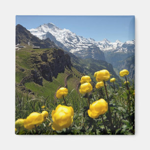 Imán Región de Jungfrau de las flores salvajes