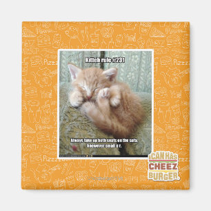 Imán Regla #231 de Kitteh