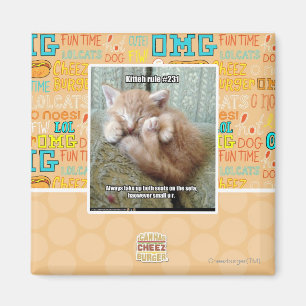 Imán Regla #231 de Kitteh