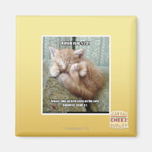 Imán Regla #231 de Kitteh