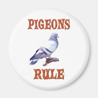 Imán Regla de las palomas