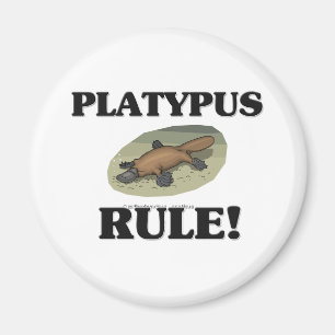 Imán ¡Regla de PLATIPUS!