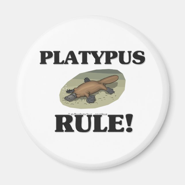 Imán ¡Regla de PLATIPUS! (Frente)