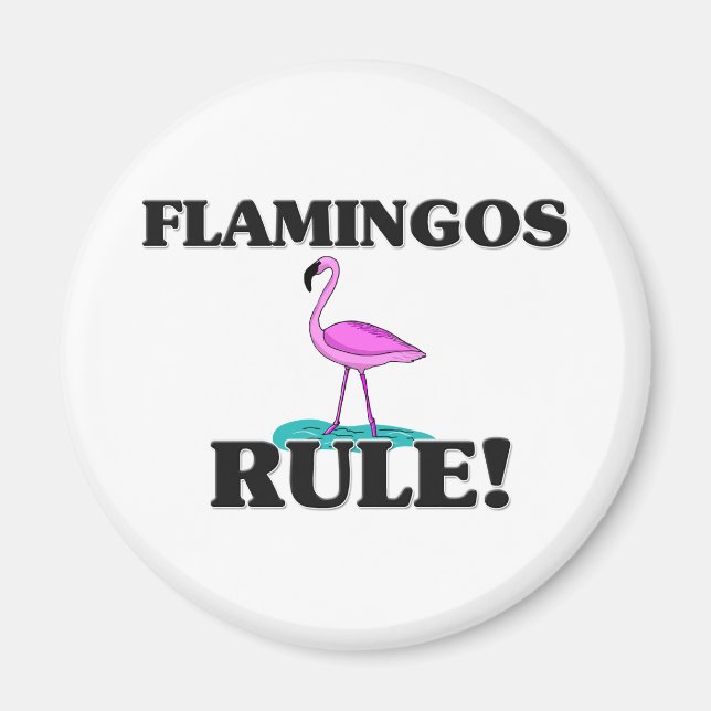 Imán ¡Regla FLAMINGOS! (Frente)