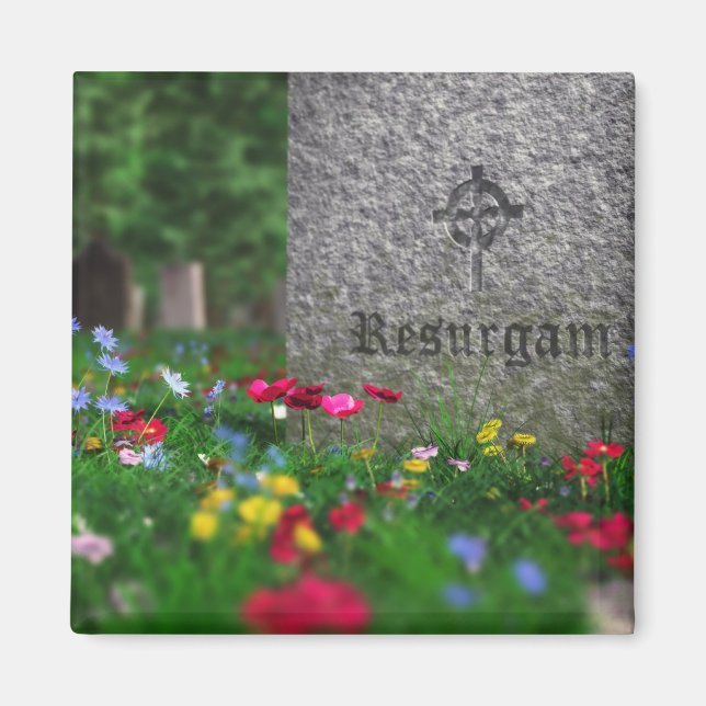 Imán Reimán de Resurgam (Frente)