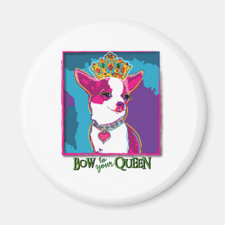 Imán Reina Chihuahua
