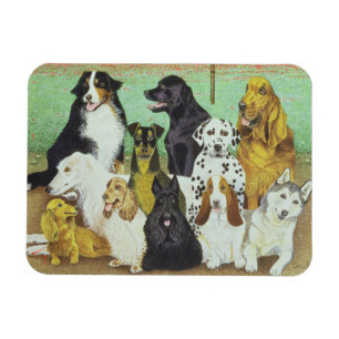 Imán Reloj del perro