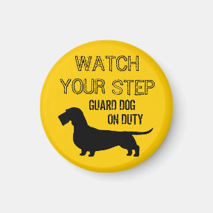 Imán Reloj Wirehaired del Dachshund su paso