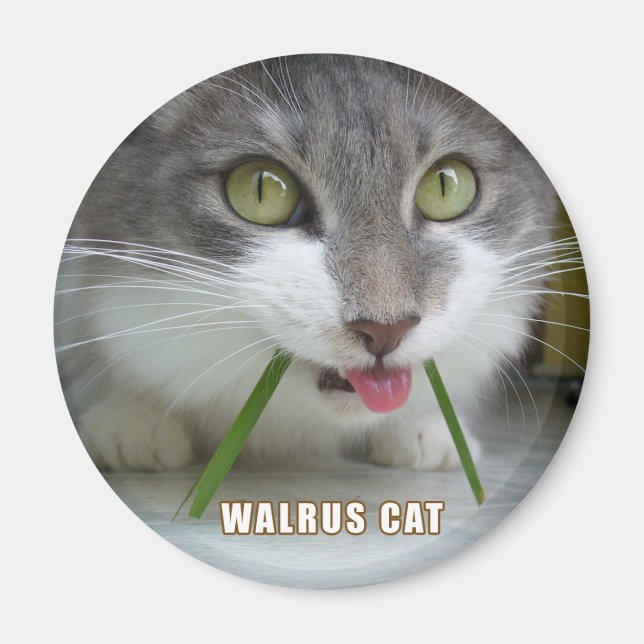 Imán Rema Magnet 011 (Frente)