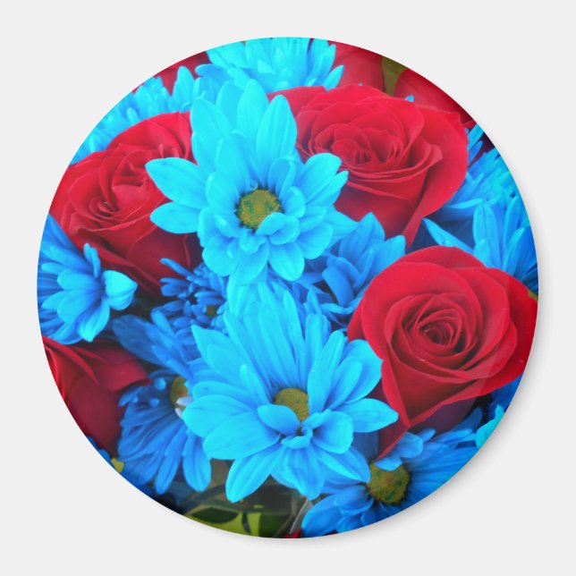 Imán Renilde (Frente)