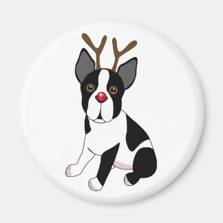 Imán Reno de Boston Terrier