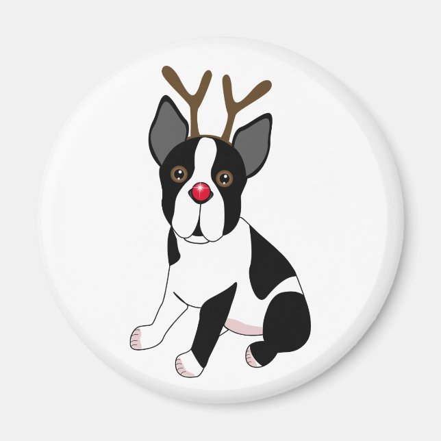 Imán Reno de Boston Terrier (Frente)