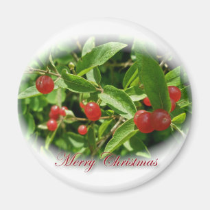 Imán Repertorio de Navidades de Honeysuckle Berries