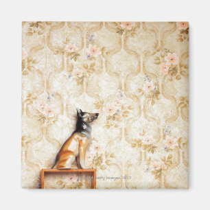 Imán Representación animal, artículo de la novedad,