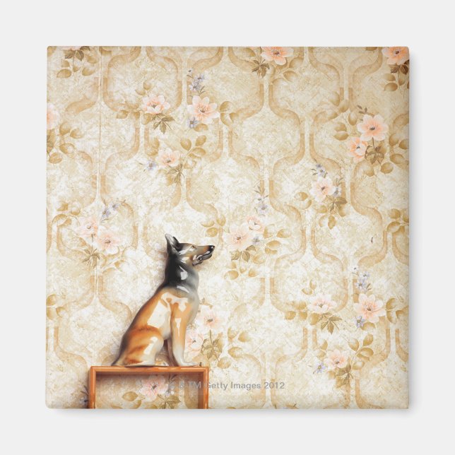 Imán Representación animal,elemento de novedad,estante, (Frente)