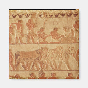 Imán Representación pintada del alivio