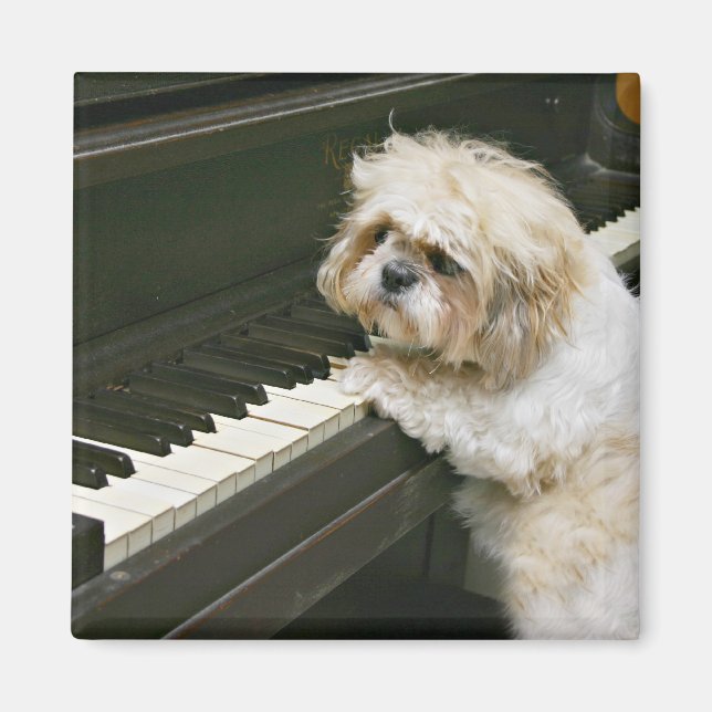 Imán reproductor de piano (Frente)